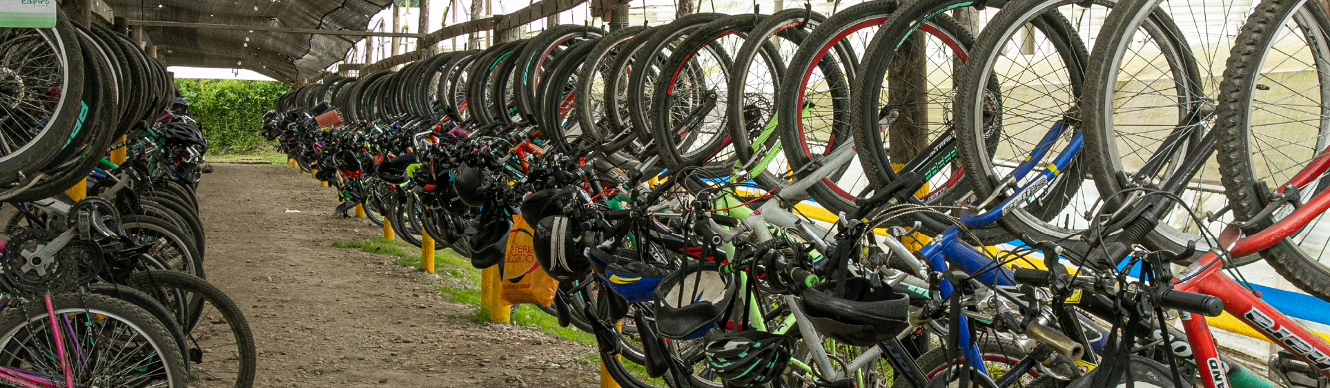 Pedaling your way out of the environmental footprint